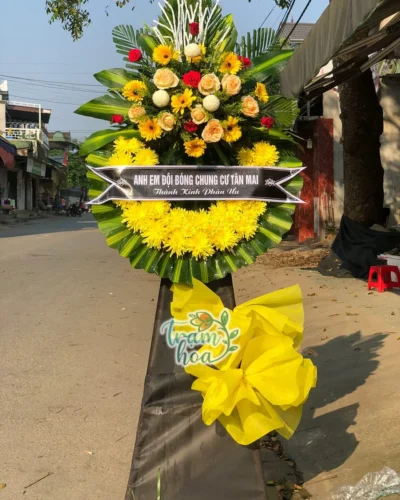 Thương Tiễn