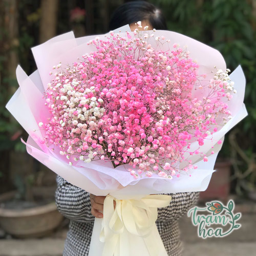 Bó hoa baby hồng - tình yêu ngọt ngào và lãng mạn
