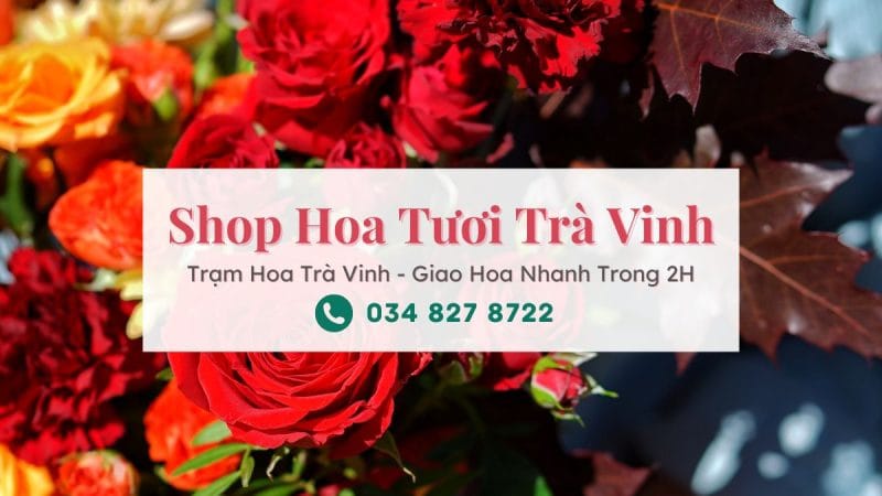 Shop hoa tươi Trà Vinh | Trạm Hoa Trà Vinh
