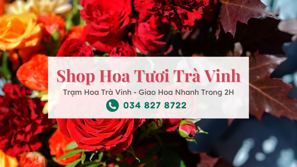Shop hoa tươi Trà Vinh | Trạm Hoa Trà Vinh