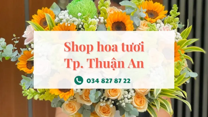 Shop hoa tươi Thuận An
