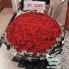 1000 Hoa Hồng Đỏ