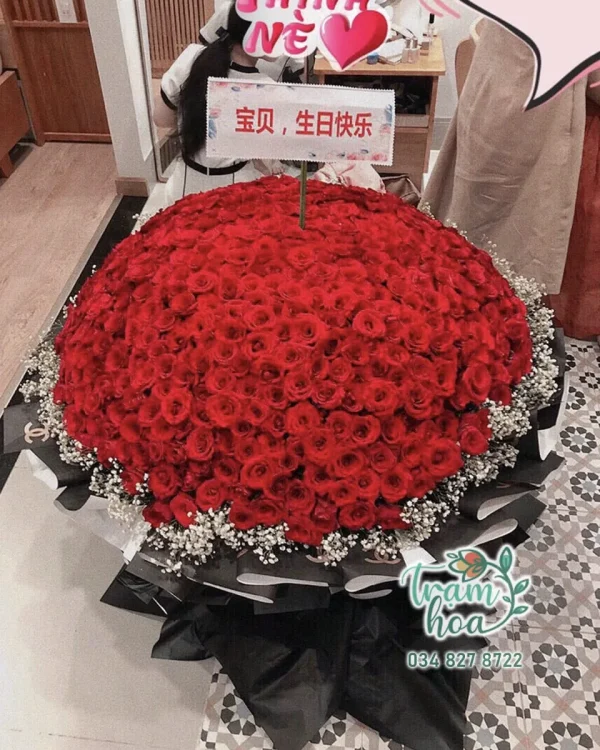 1000 Hoa Hồng Đỏ