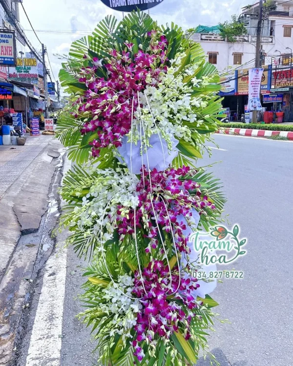 Hài Hòa