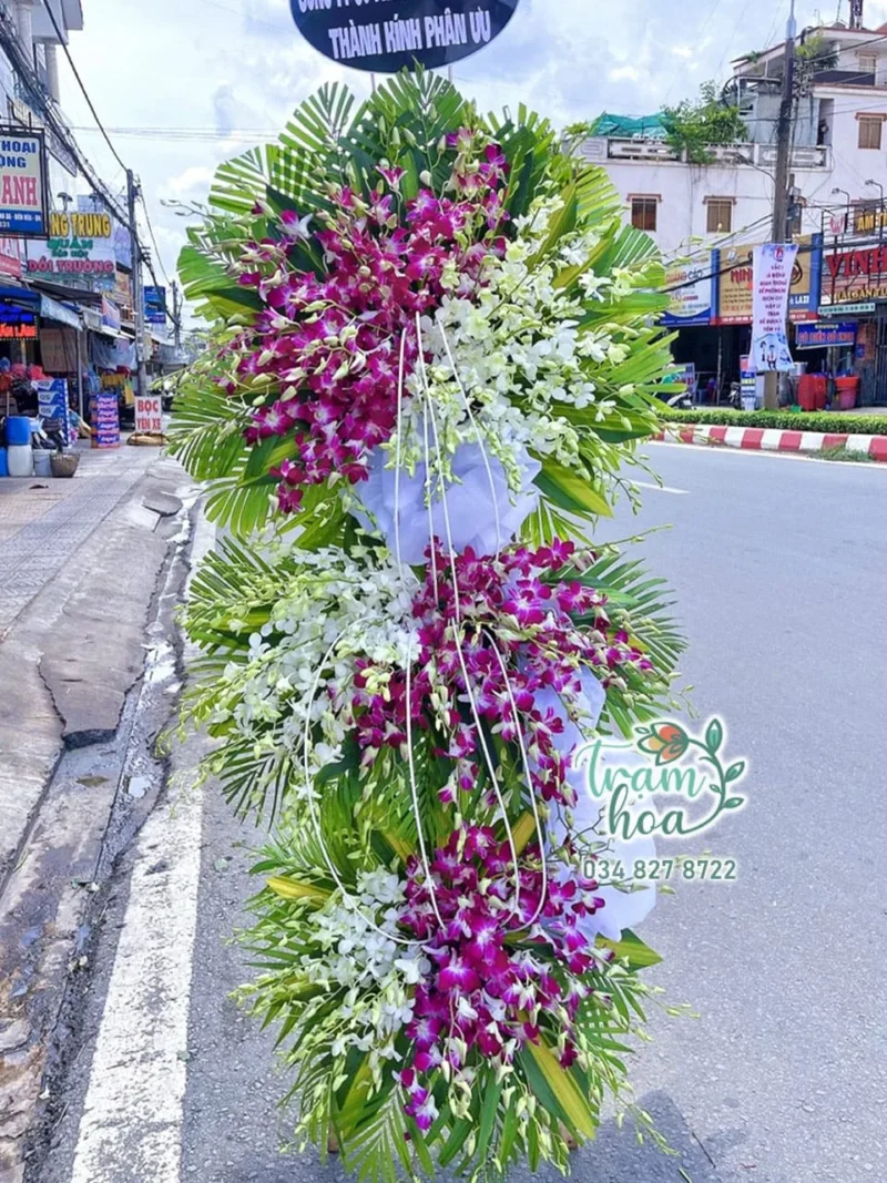 Hài Hòa
