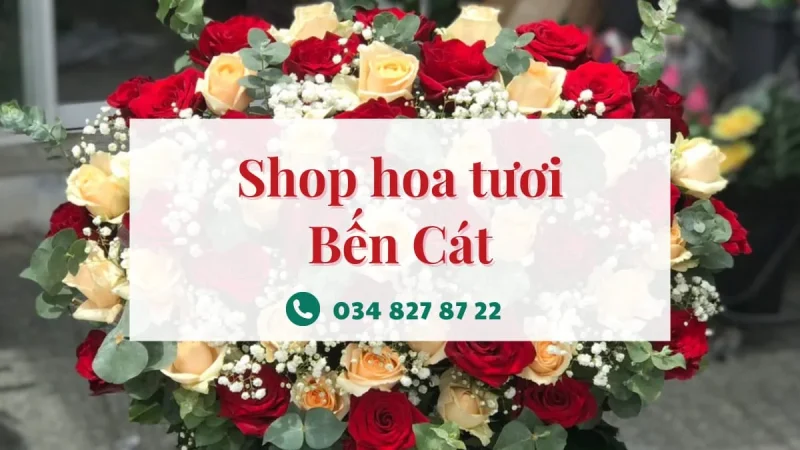 Shop hoa tươi Bến Cát