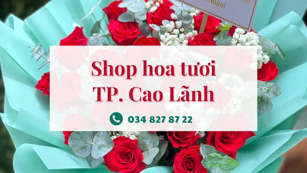 Shop hoa tươi Cao Lãnh
