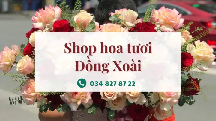 Shop hoa tươi Đồng Xoài