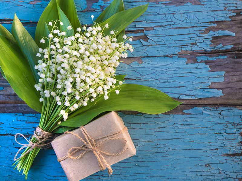 Hoa linh lan – Ý nghĩa và công dụng của loài hoa thơm nhất thế giới