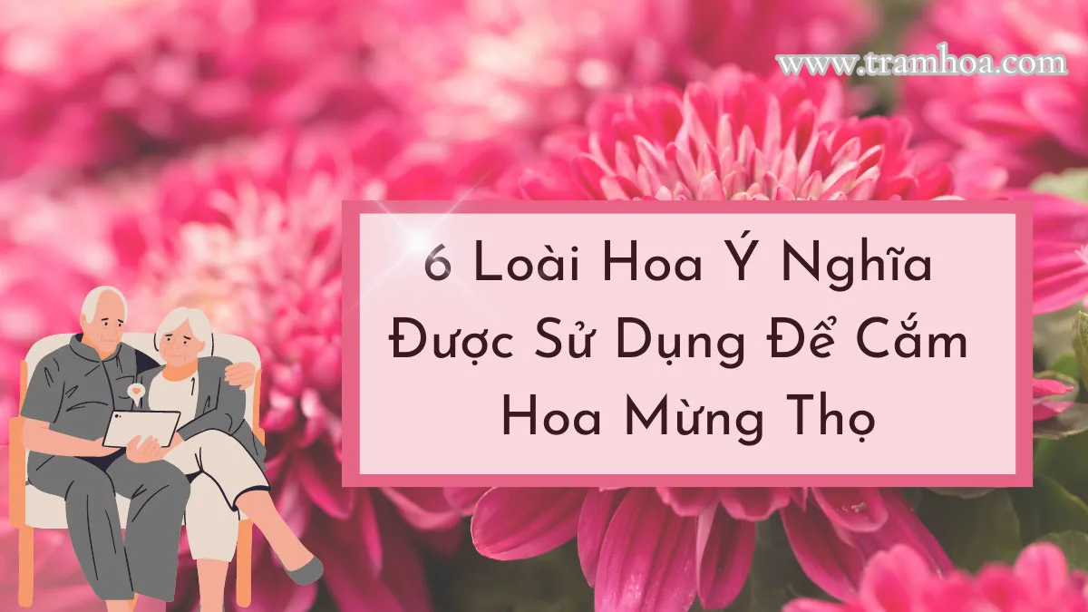 6 loài hoa ý nghĩa được sử dụng để cắm hoa mừng thọ