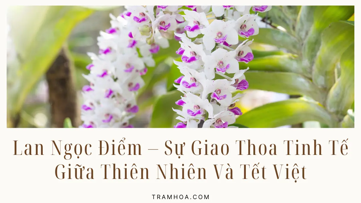 Lan Ngoc Diem – Su Giao Thoa Tinh Te Giua Thien Nhien Va Tet Viet Lan Ngọc Điểm – Sự Giao Thoa Tinh Tế Giữa Thiên Nhiên Và Tết Việt