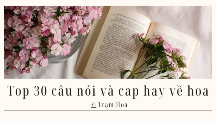 Top 30 câu nói và cap hay về hoa