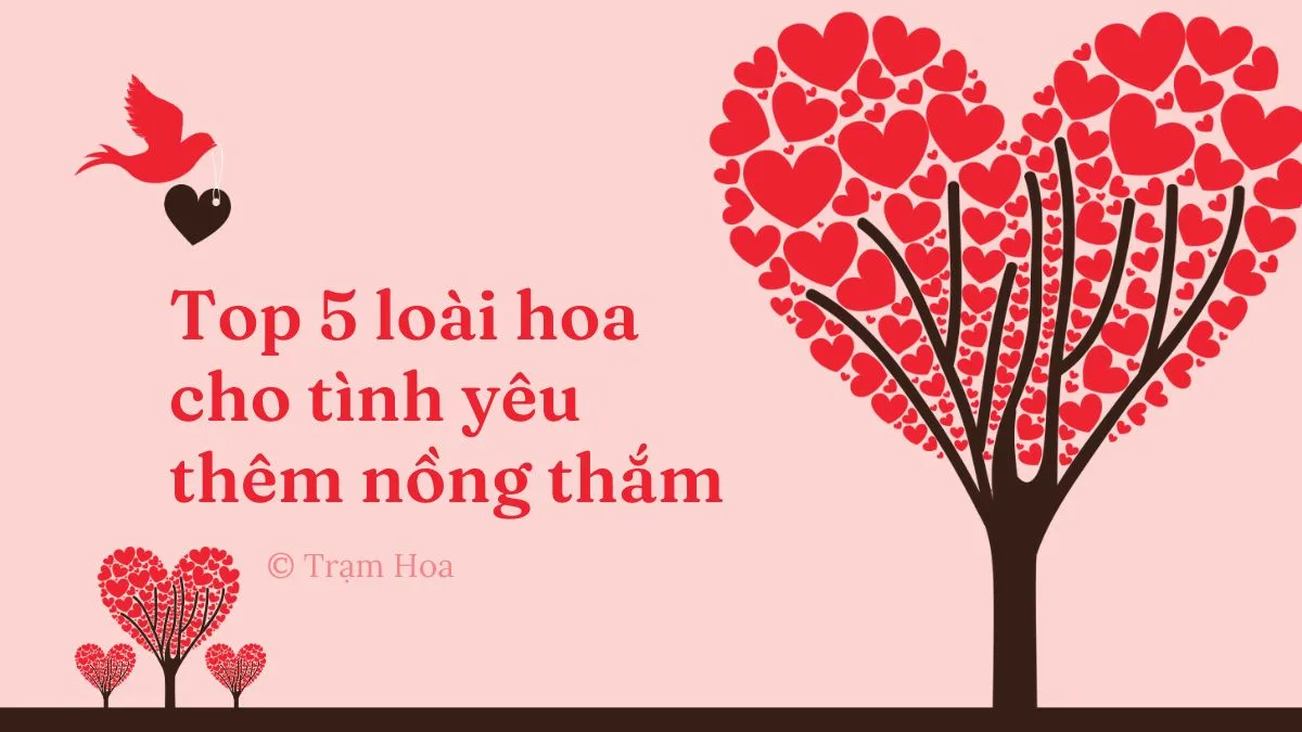 Top 5 loài hoa cho tình yêu thêm nồng thắm