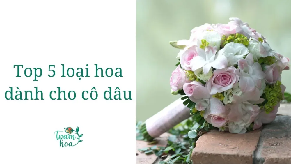 Top 5 loài hoa dành cho cô dâu