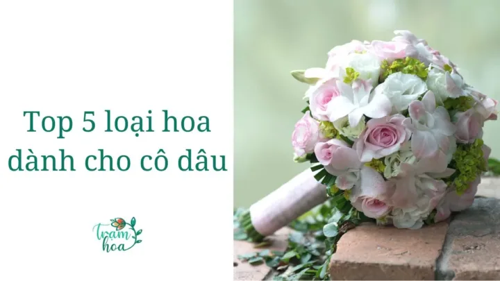 Top 5 loài hoa dành cho cô dâu