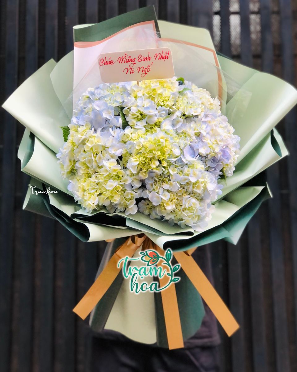 Bó hoa cẩm tú cầu tượng trưng cho tình yêu chân thành