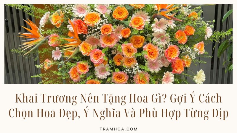 Khai Trương Nên Tặng Hoa Gì? Gợi Ý Cách Chọn Hoa Đẹp, Ý Nghĩa Và Phù Hợp Từng Dịp