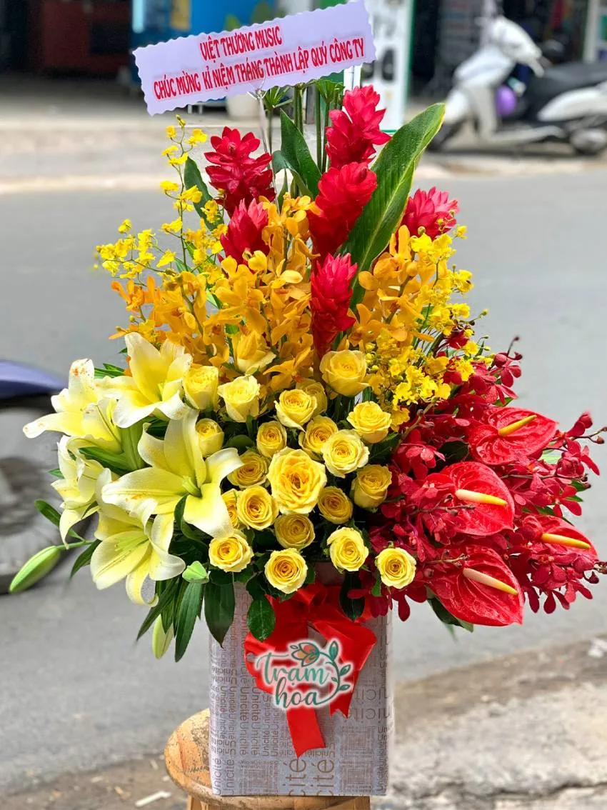 khai truong nen tang hoa gi 2 khai truong nen tang hoa gi 2