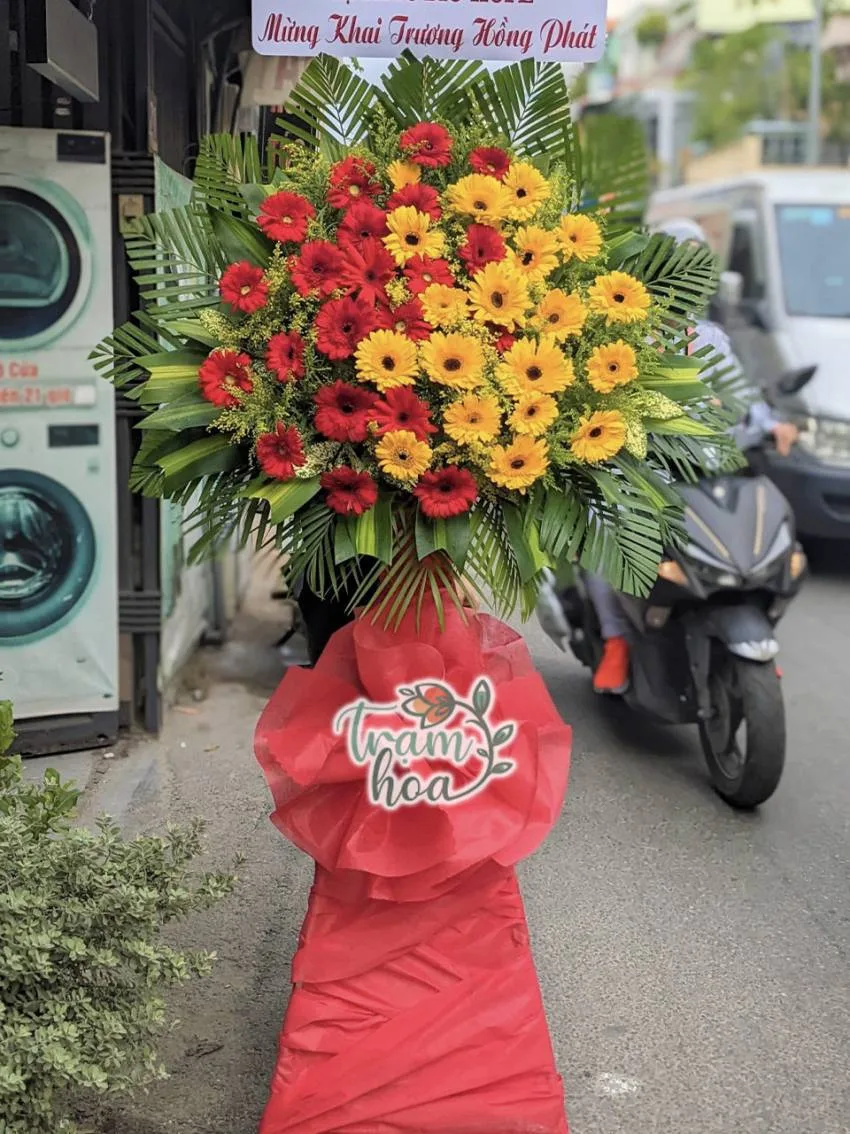 khai truong nen tang hoa gi 5 khai truong nen tang hoa gi 5