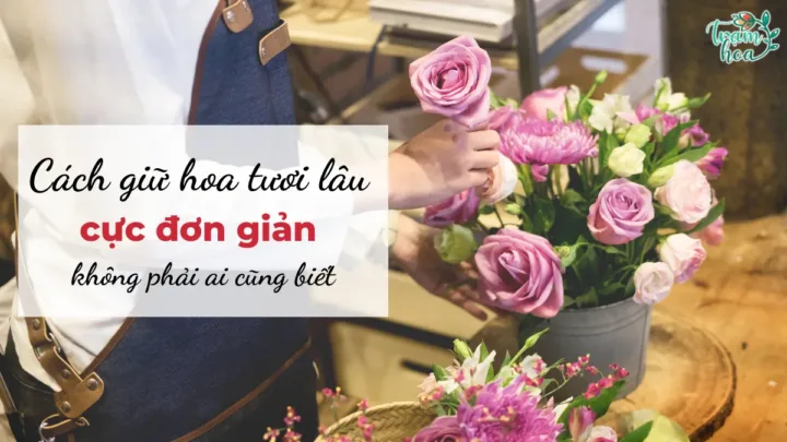 Cách giữ hoa tươi lâu cực đơn giản không phải ai cũng biết