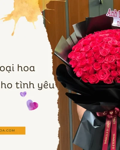Goi y cac loai hoa tuong trung cho tinh yeu png
