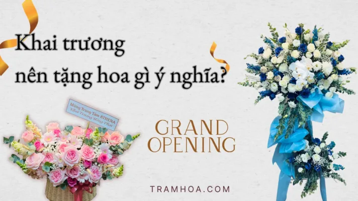 Khai trương nên tặng hoa gì ý nghĩa