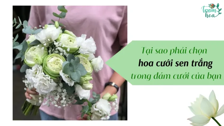 Tại sao phải chọn hoa cưới sen trắng trong đám cưới của bạn