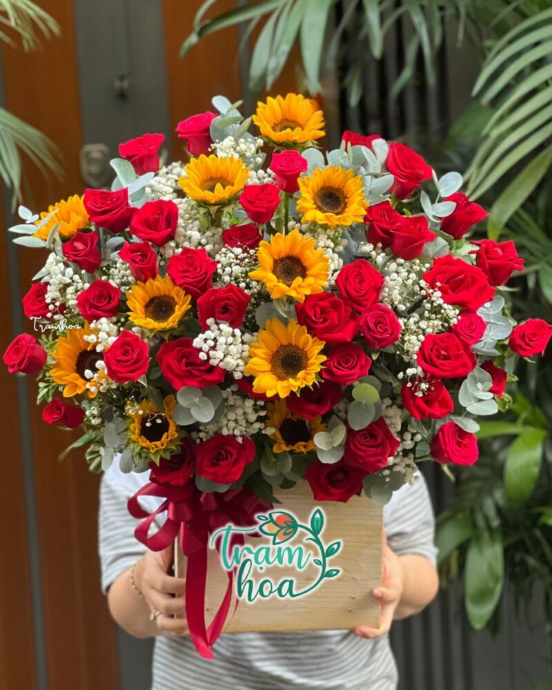 Nụ Cười Ngày Mới