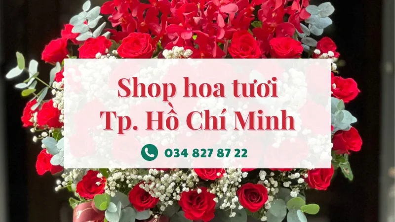Shop Hoa Tươi TPHCM – Địa chỉ uy tín để gửi gắm những điều đẹp đẽ