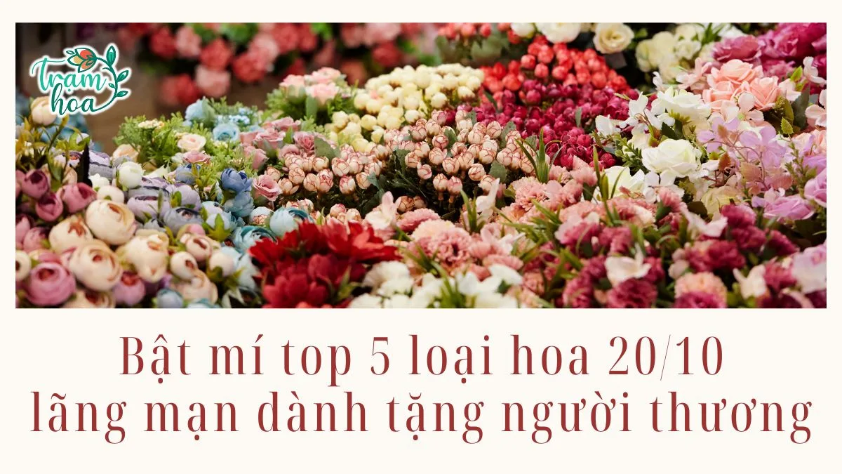 Bật mí top 5 loại hoa 20/10 lãng mạn dành tặng người thương