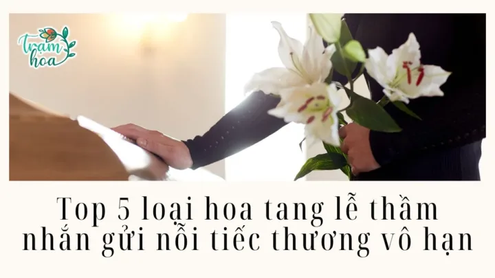 Top 5 loại hoa tang lễ thầm nhắn gửi nỗi tiếc thương vô hạn
