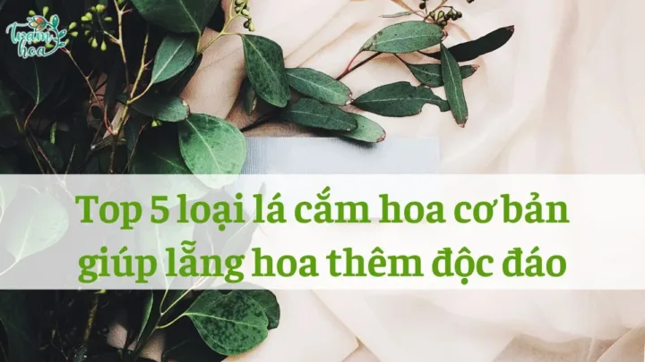 Top 5 loại lá cắm hoa cơ bản giúp lẵng hoa thêm độc đáo