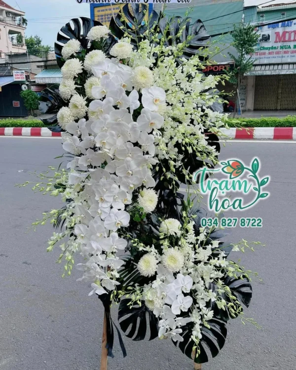 Chân Trời