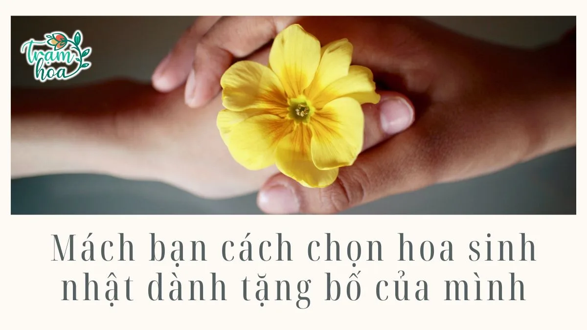 Mách bạn cách chọn hoa sinh nhật dành tặng bố của mình