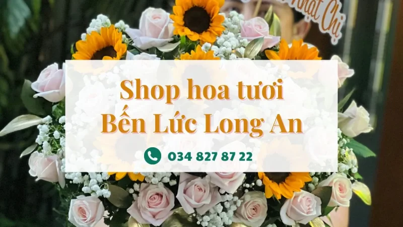 Shop hoa tươi Bến Lức Long An