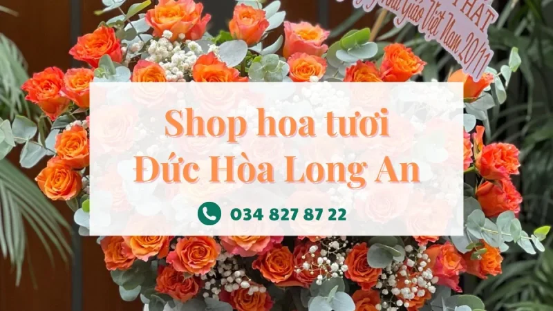 Shop hoa tươi Đức Hòa Long An