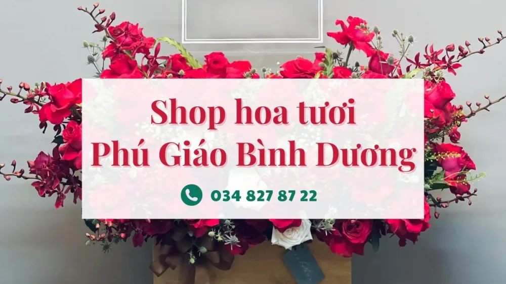 Shop hoa tươi Phú Giáo Bình Dương cung cấp dịch vụ giao hoa Phú Giáo tận nơi