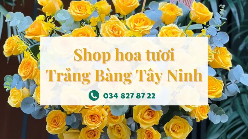 Shop hoa tươi Trảng Bàng Tây Ninh