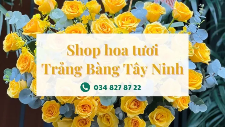 Shop hoa tươi Trảng Bàng Tây Ninh