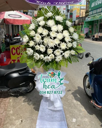 Thành Tâm 3