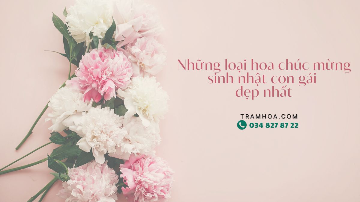 Những loại hoa chúc mừng sinh nhật con gái đẹp nhất