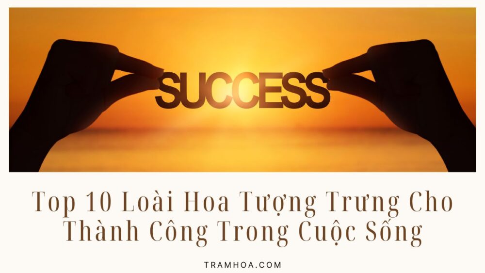 Top 10 Loài Hoa Tượng Trưng Cho Thành Công Trong Cuộc Sống
