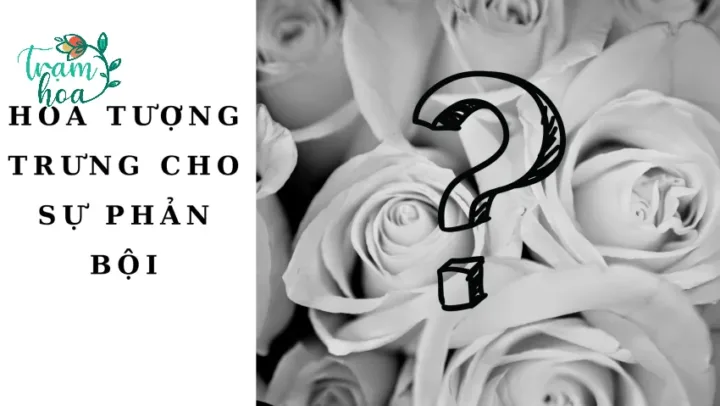 hoa tuong trung cho su phan boi 2