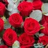 Pure Love - Ảnh 2