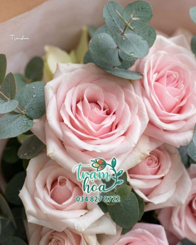 Bo Hoa Tuoi TH B107 my everything