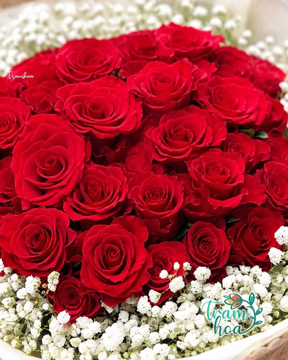 Bó Hoa Đỏ Thắm - Ảnh 2
