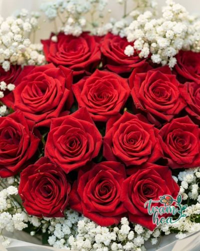 Bo Hoa Tuoi TH B018 Trang Trong P1