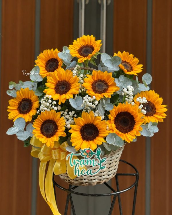 Giỏ Hoa Hướng Dương