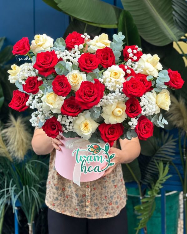 Sức Sống Mới