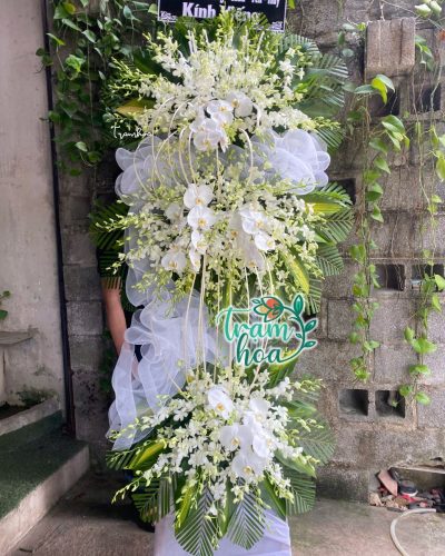 Hành Trình Cuối